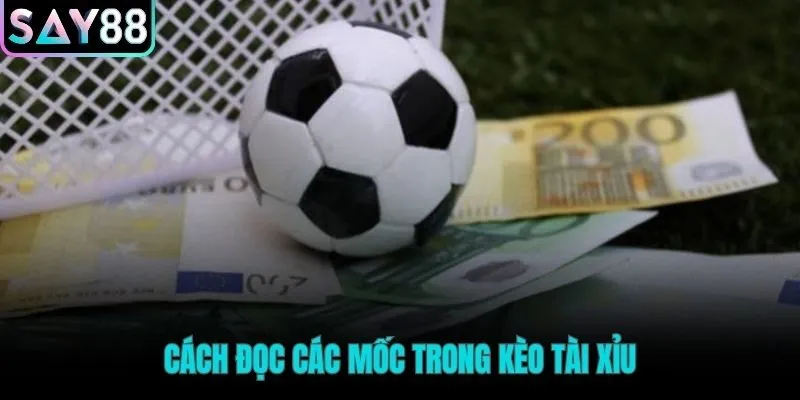 Các con số thập phân quyết định kết quả cược tài xỉu