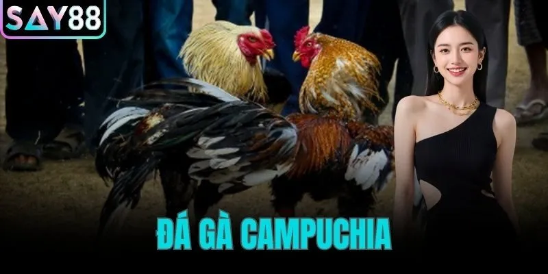 đá gà Campuchia