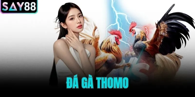 đá gà Thomo