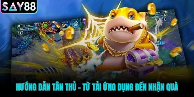 Luật chơi và thuật ngữ nền tảng của một ván phỏm