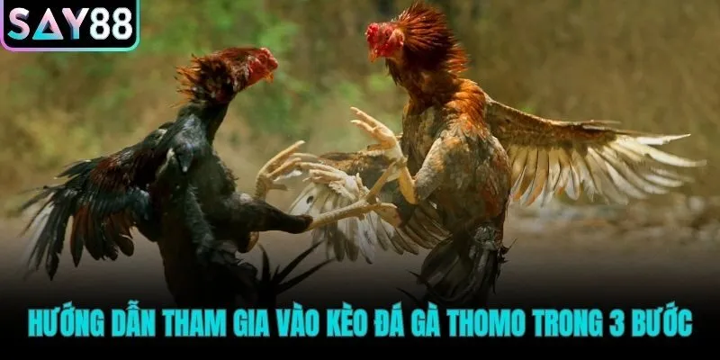 Ba bước đơn giản để bắt đầu vào kèo các trận đấu