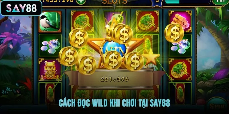 Wild Symbol là gì trong thao tác đọc luật tại SAY88