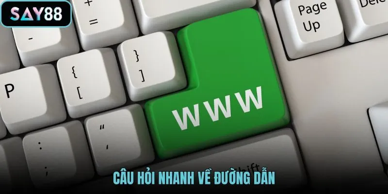 cau-hoi-nhanh-ve-duong-dan