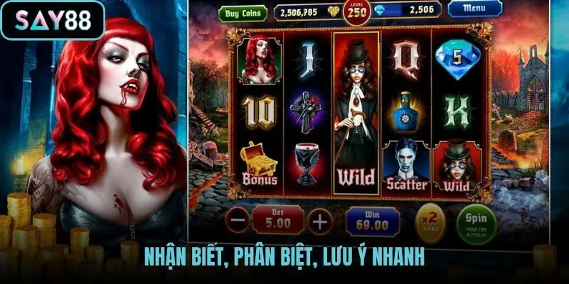 Scatter là gì giữa Wild Bonus và paytable