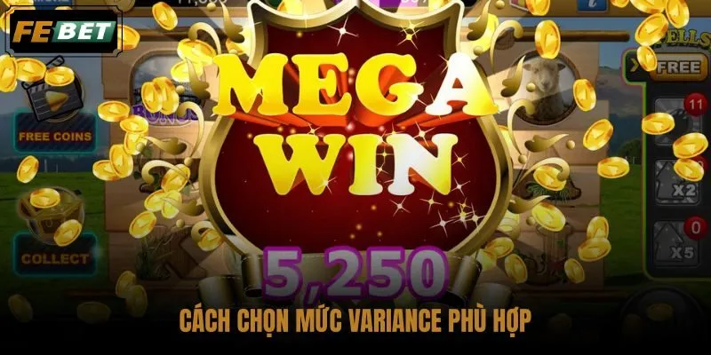 cach-chon-muc-variance-phu-hop cach-chon-muc-variance-phu-hop