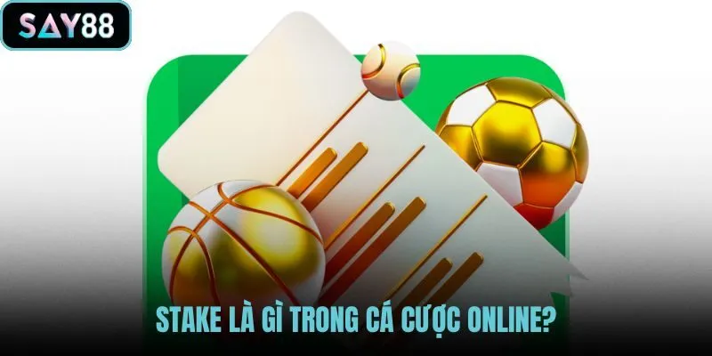 Stake là gì qua khoản đặt gắn từng lựa chọn