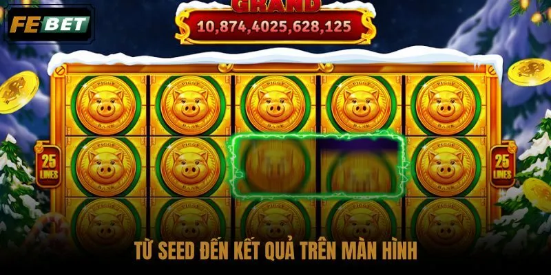 tu-seed-den-ket-qua-tren-man-hinh